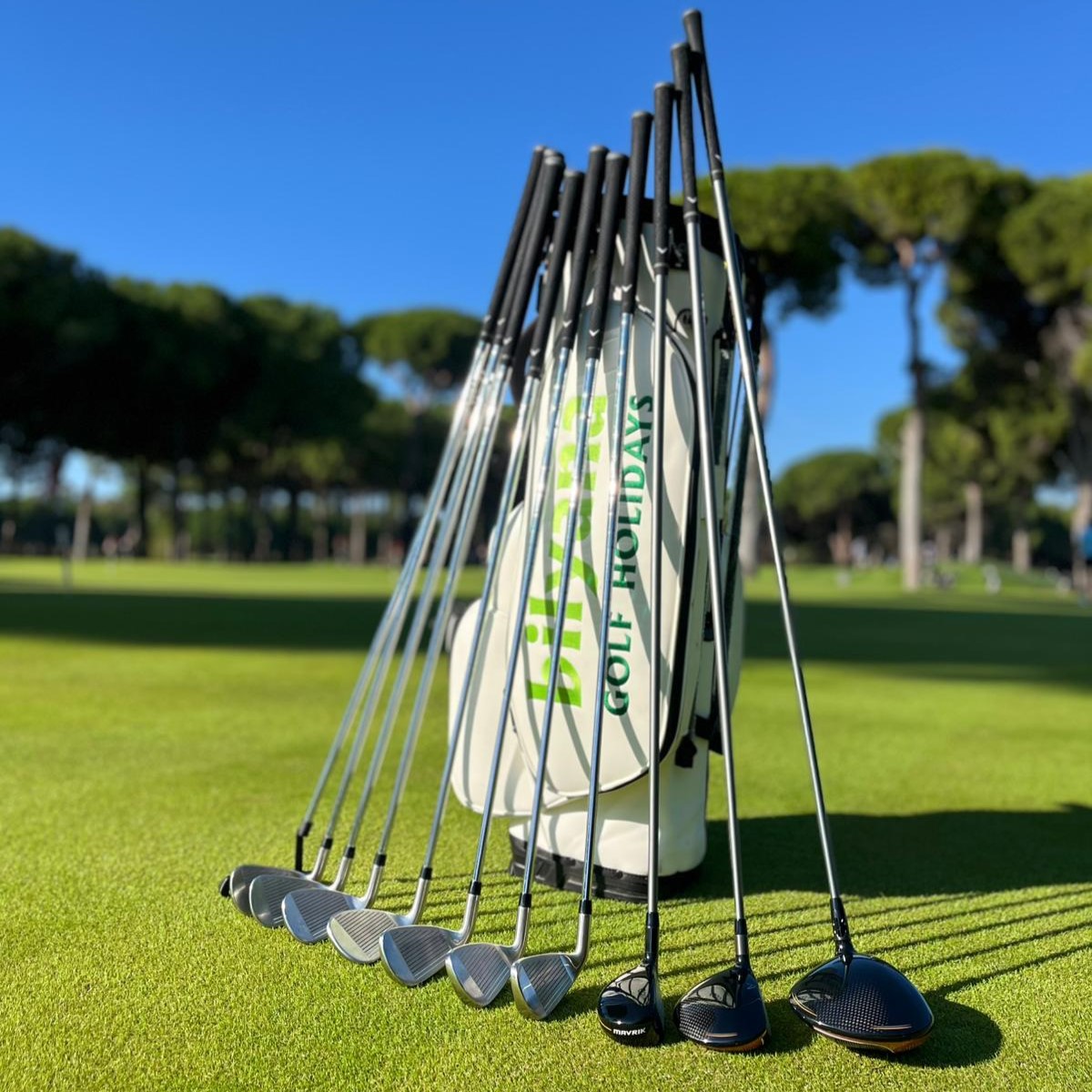 https://maxsramom.bilyanagolf.com/files/imaj/clubhire1.jpg