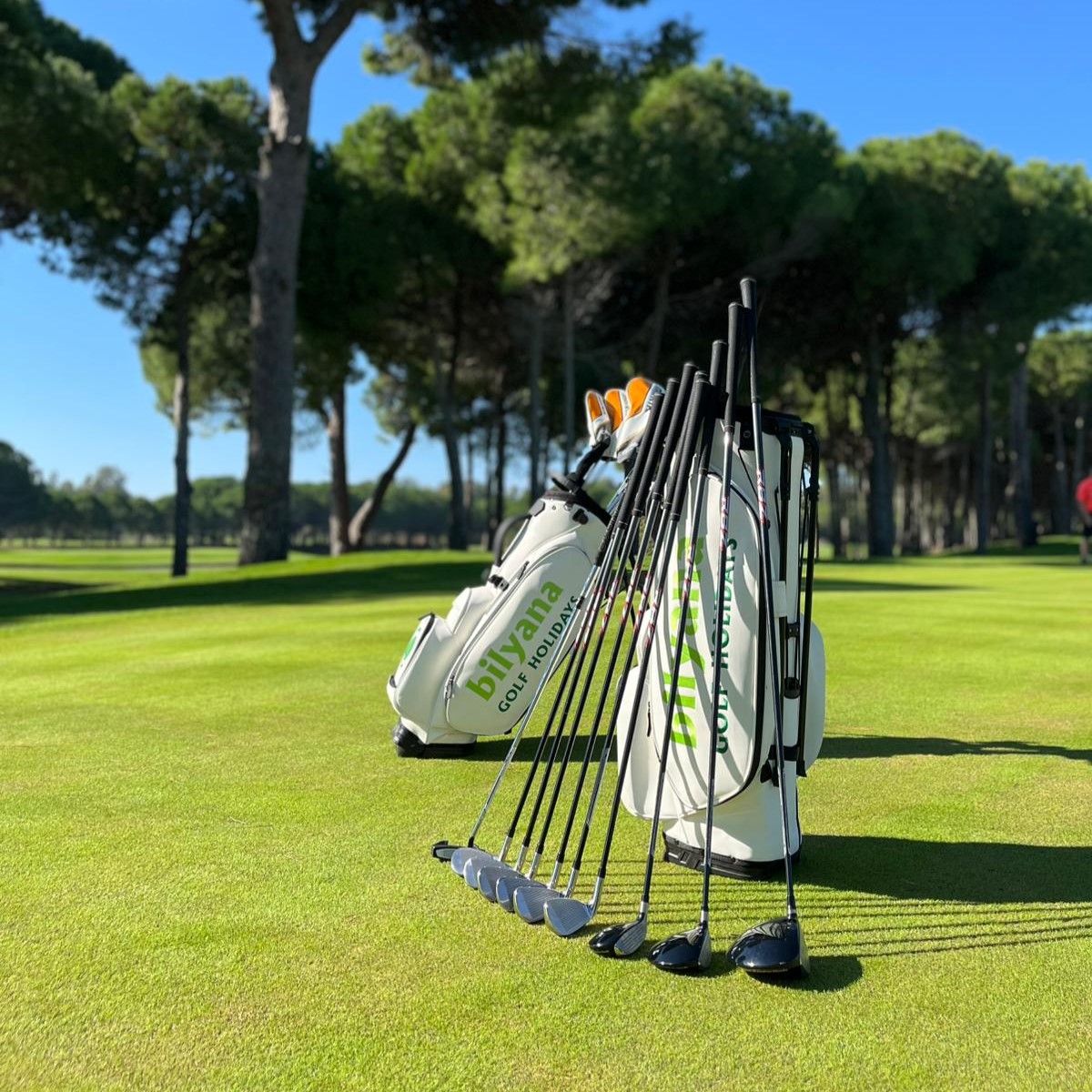 https://maxsramom.bilyanagolf.com/files/imaj/clubhire3.jpg